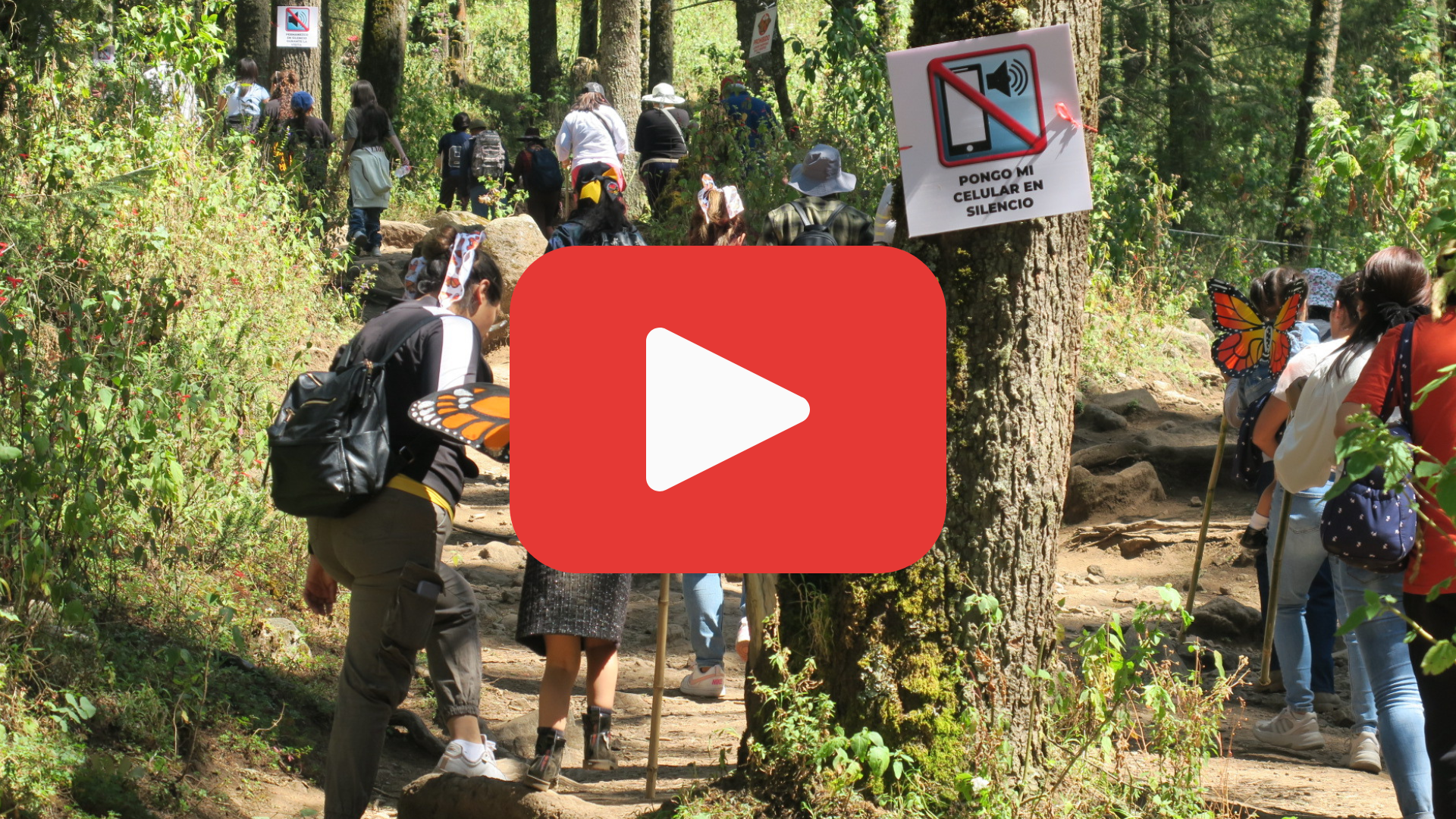 A red play button over a photo of people in the Monarch Butterfly Biosphere Reserve