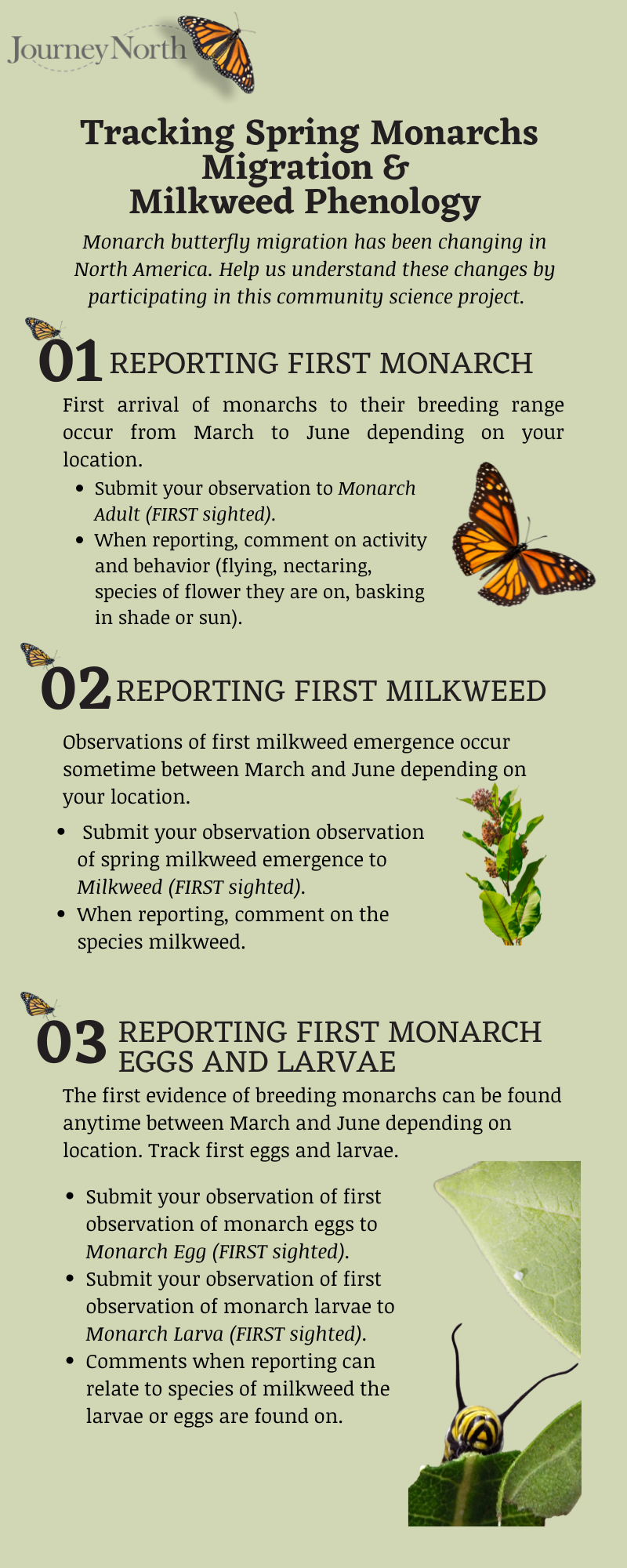 monitoring monarch migration