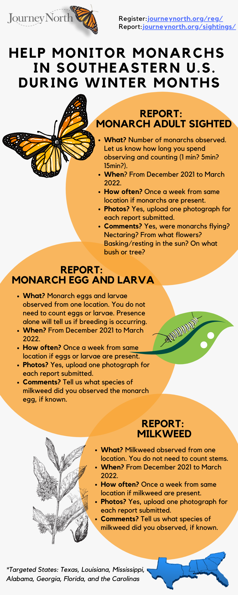 monitoring overwintering monarchs