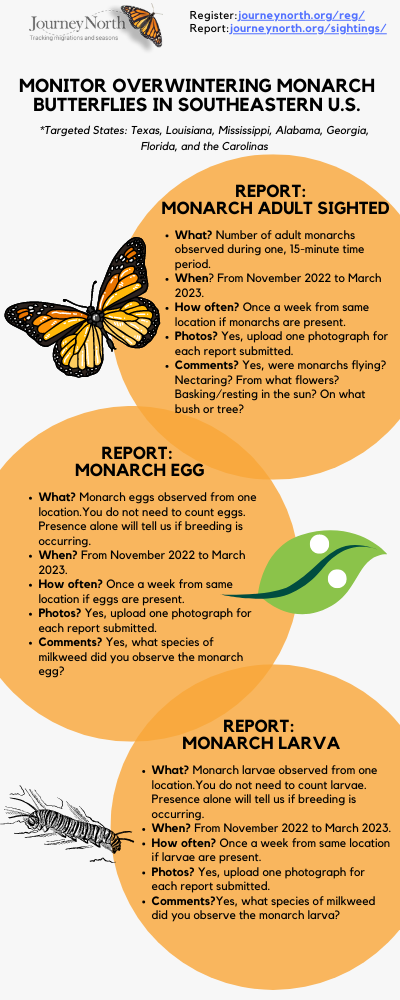 Monitor Southeastern Monarchs Flyer