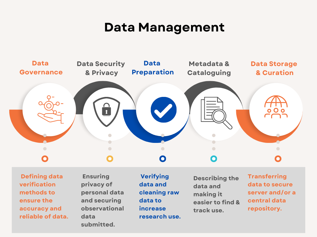 data management infographic