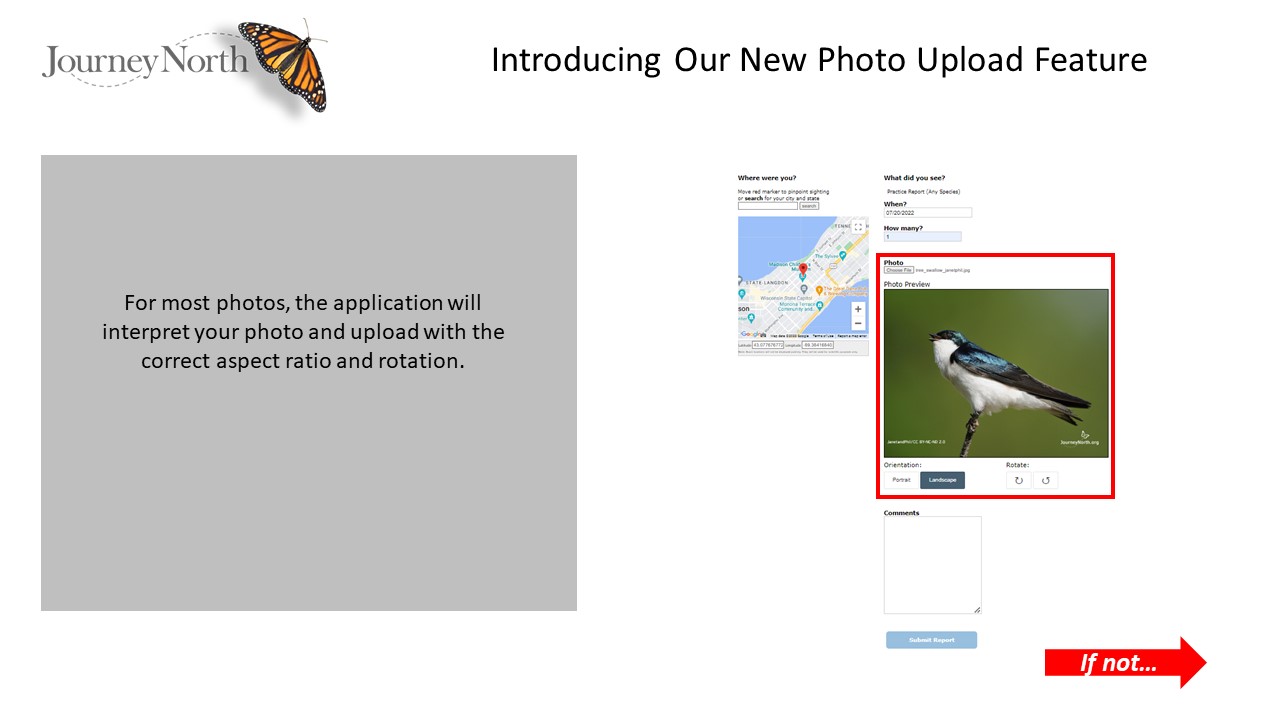 Photo feature slide 1