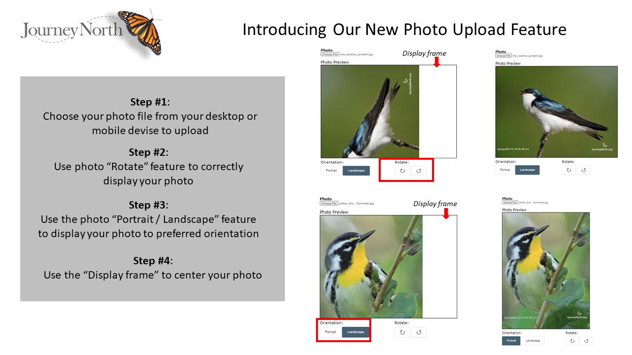 Photo feature slide 2