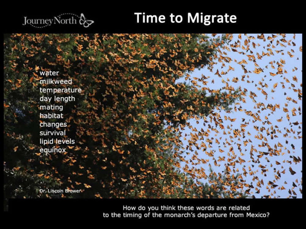Journal Spring Migration Timing