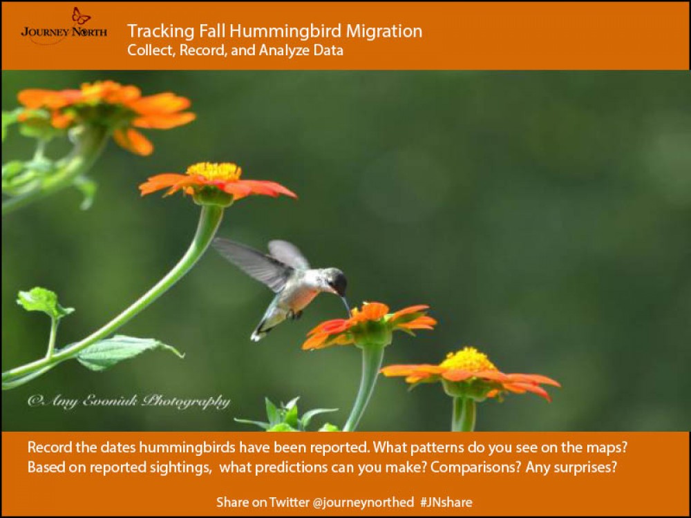 Collect maps, create recording charts, and analyze migration data throughout the season.