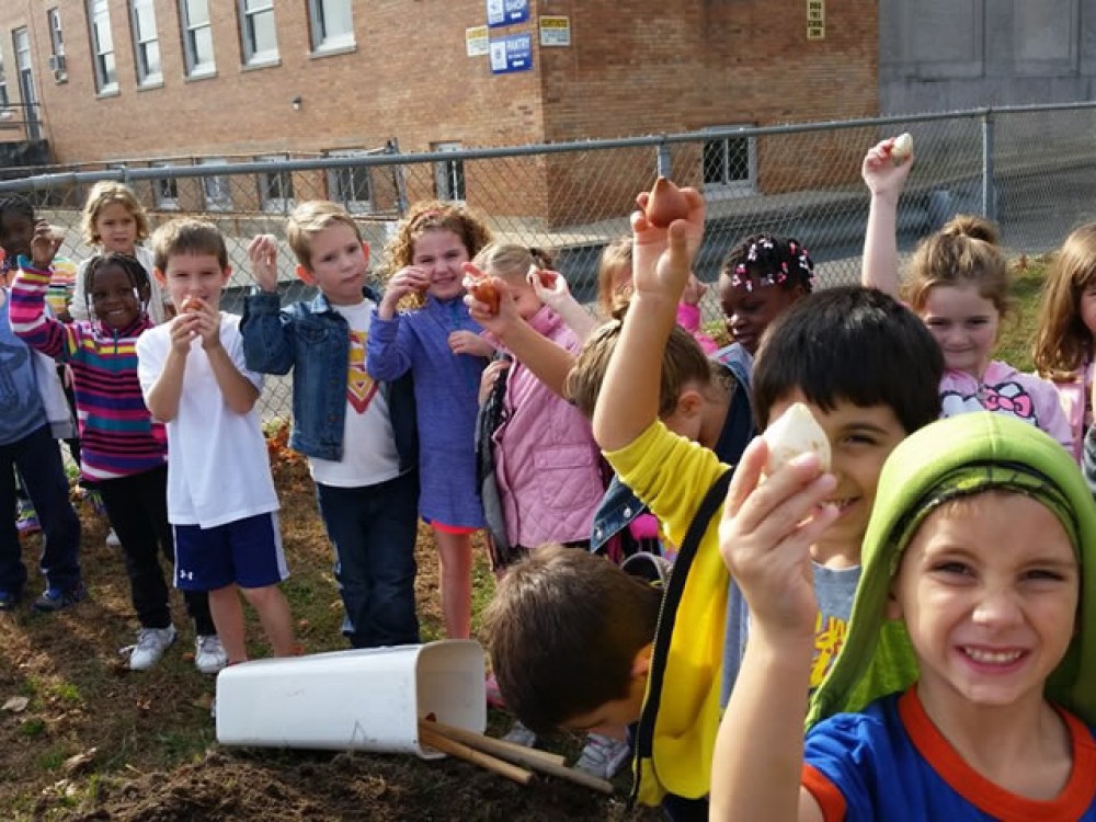 Photo of students holding up tulip bulbs ready to plant
