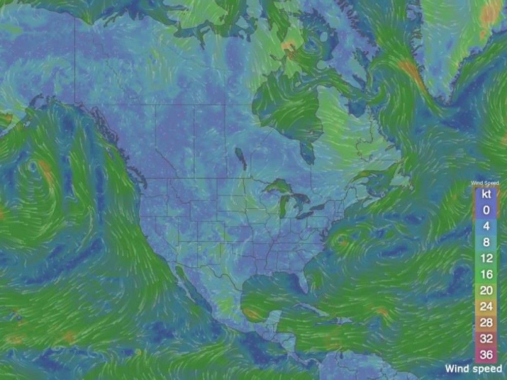 Study current weather maps. Pay attention to the temperatures and weather conditions in regions where hummingbirds have been sighted. Image by wind.com