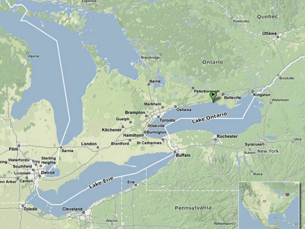 Tagged monarchs can reveal information about the pathways monarchs travel. For example, one tagged monarch seemed to follow the shoreline of Lake Ontario for 85 miles. This tag recovery supports other evidence that monarchs migrate along shorelines to avoid crossing large bodies of water.