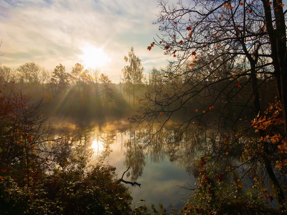 Sunrise in autumn on the pond
