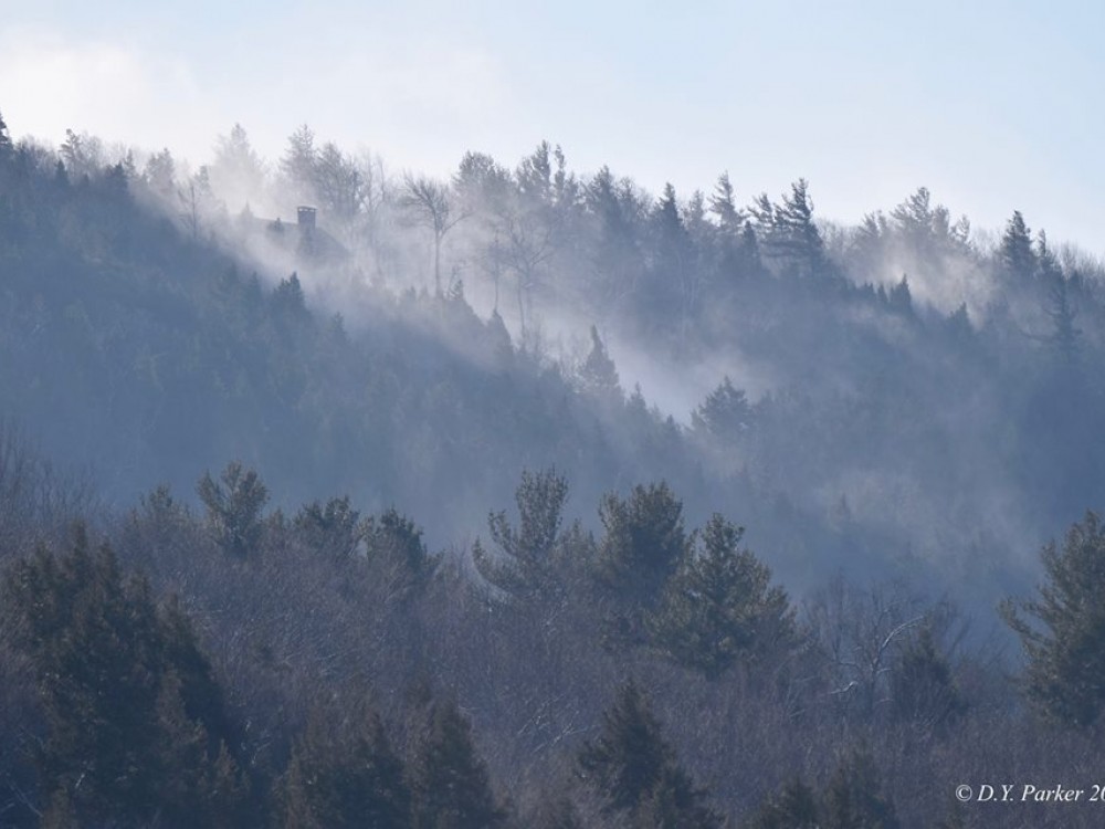 Snow blowing out of the trees on Windmill Hill ridge.