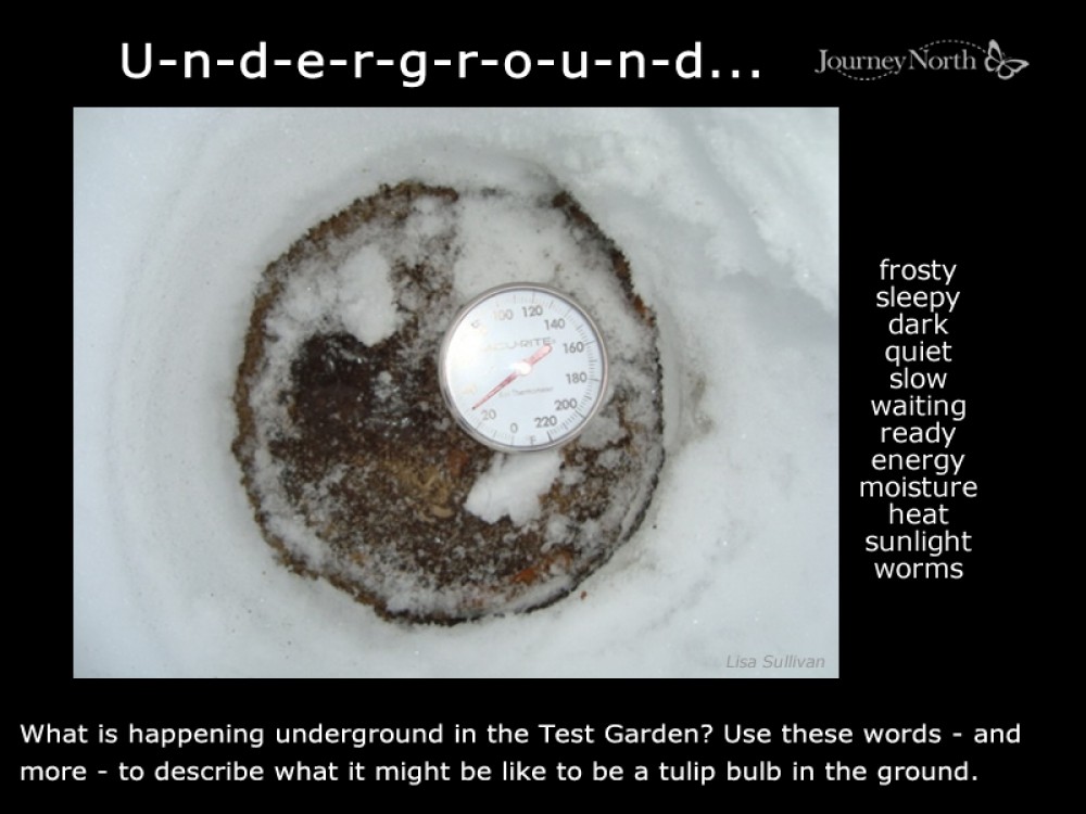 What is the temperature underground?