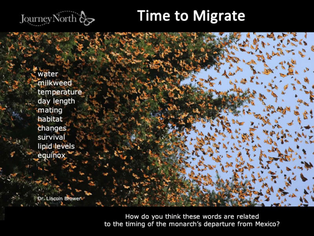 Spring Migration Timing