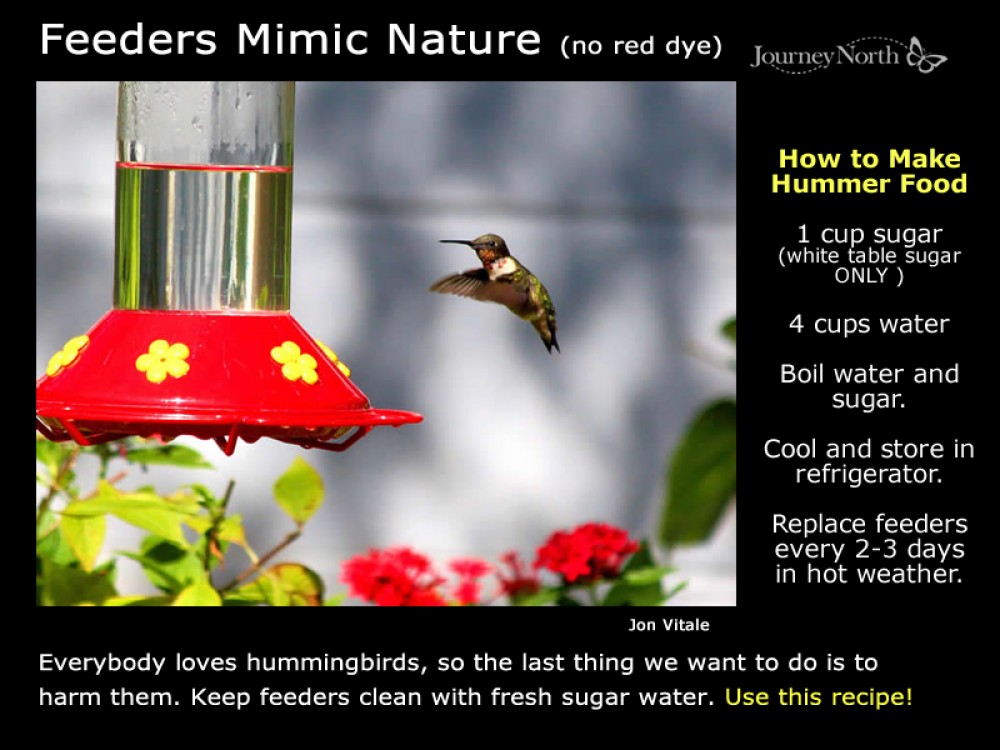 Nectar recipe for feeders