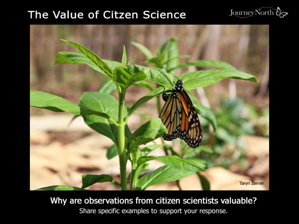 Value of Citizen Science