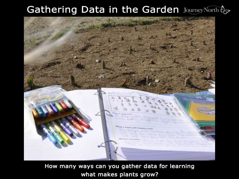 How many ways can you collect data in the garden?