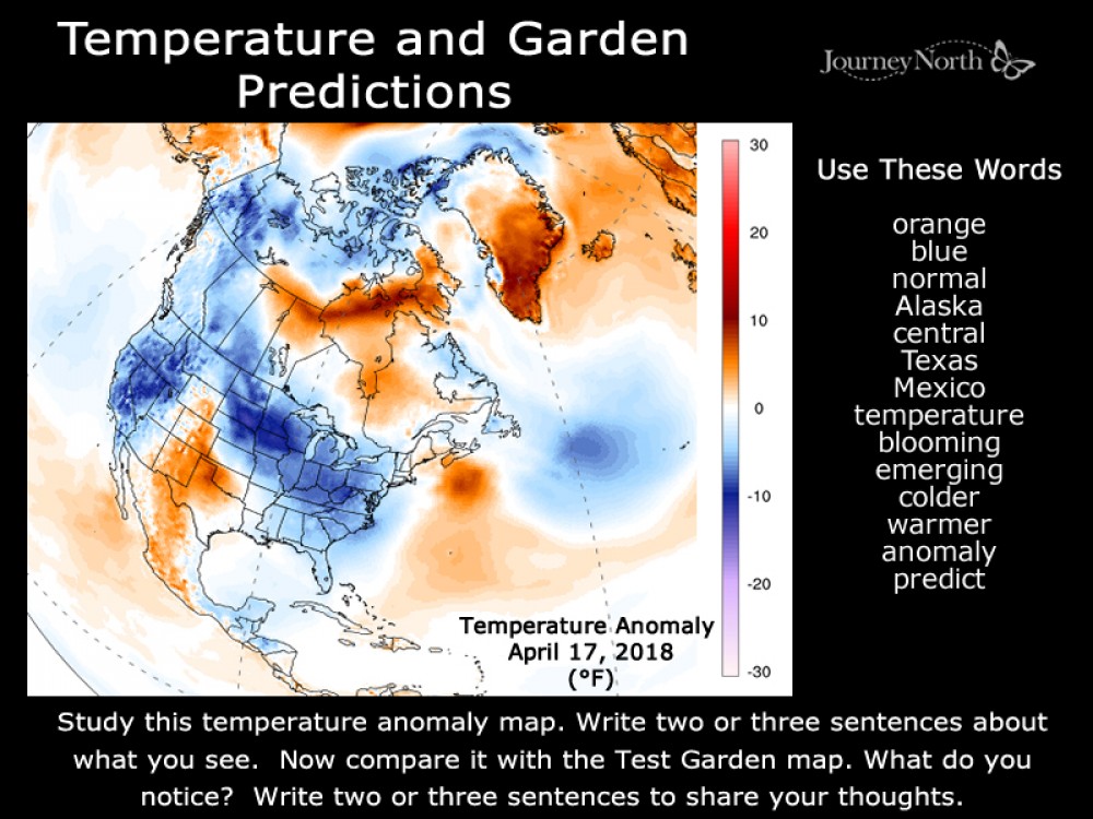 Temperature map and garden predictions