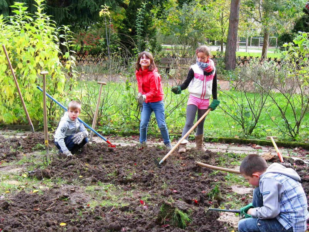 Students of  Elementary School Gablenz in Chemnitz, Germany planting tulip bulbs