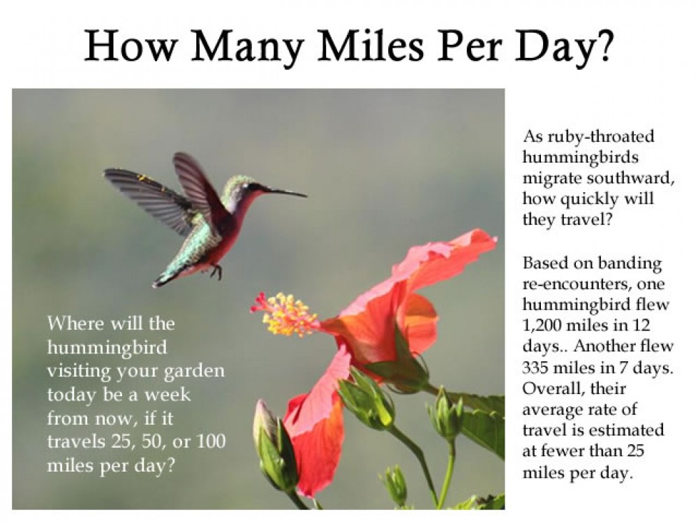 Journal: How Many Miles per Day? 