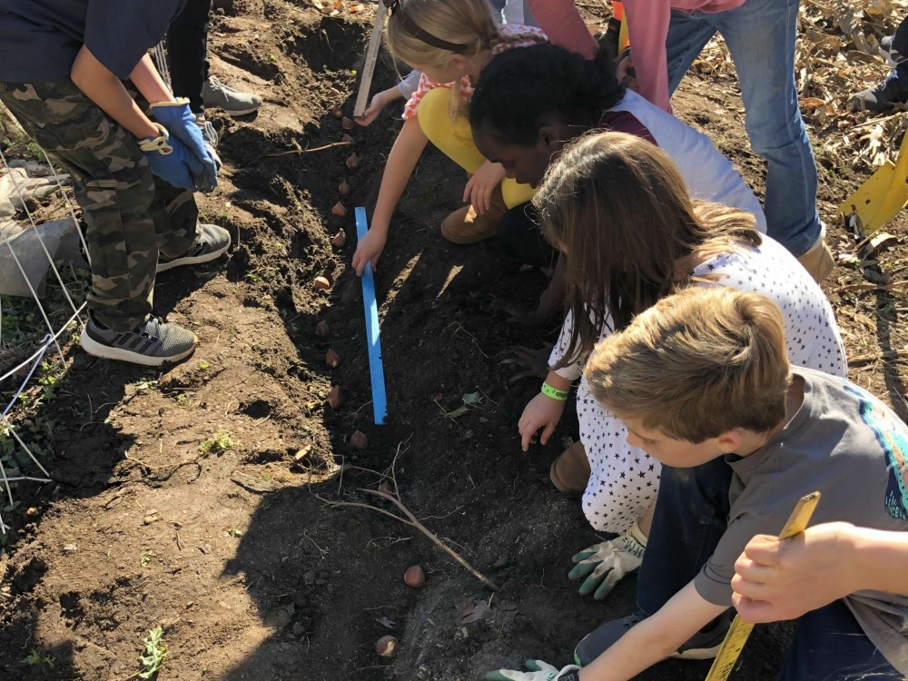 Students plant a Journey North garden in Greensboro, North Carolina