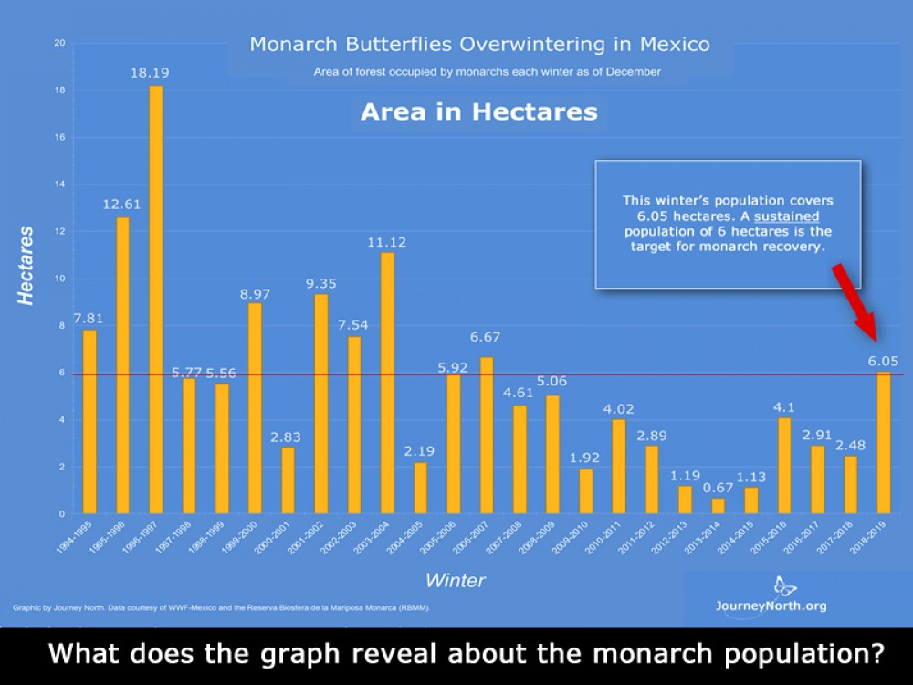 Monarch Population Estimate Winter 2019