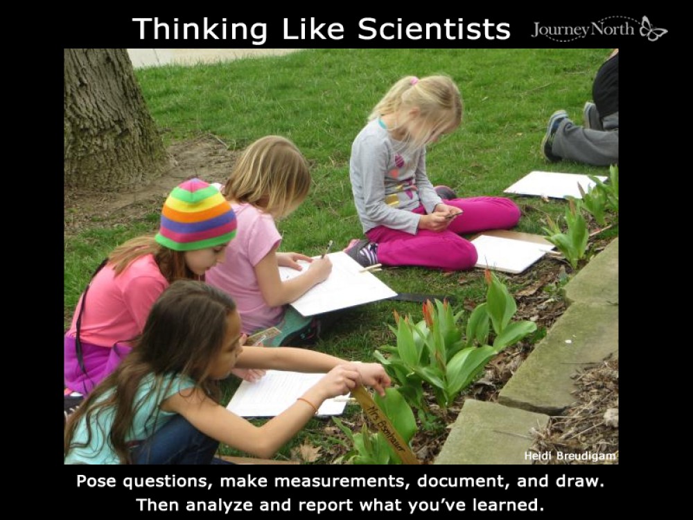 Observing and recording in the garden