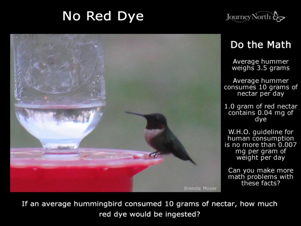 Facts about dye in hummingbird nectar