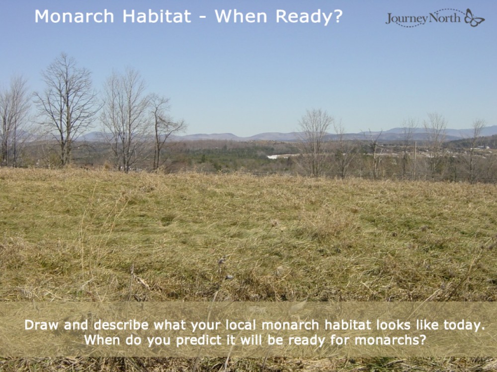 Habitat Predictions - When Ready?