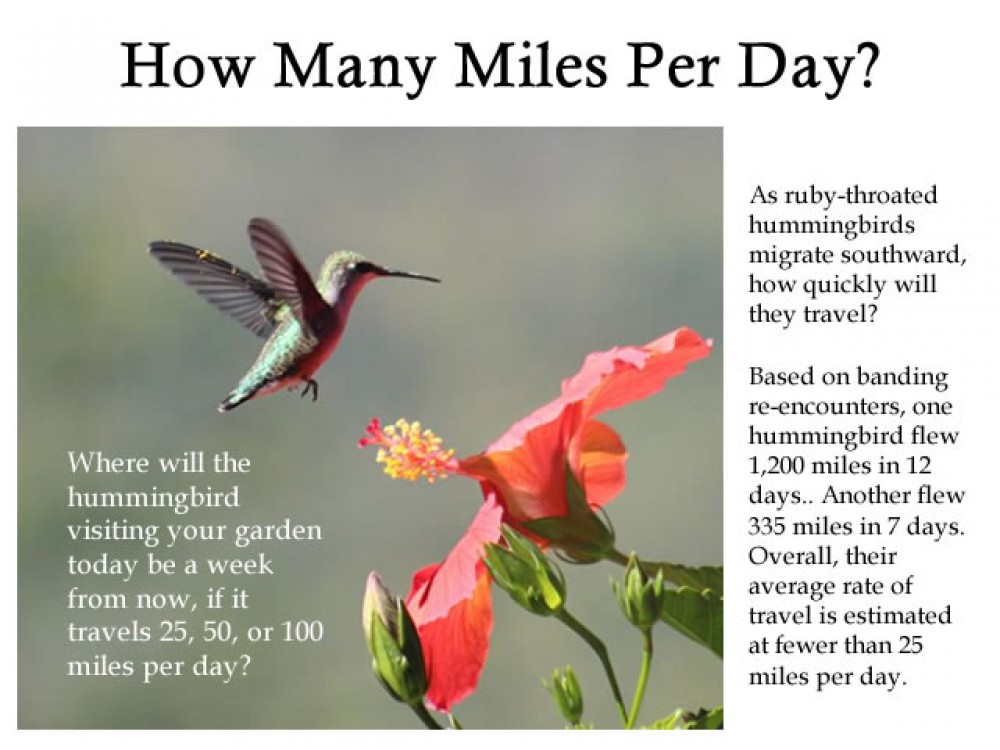 miles per day