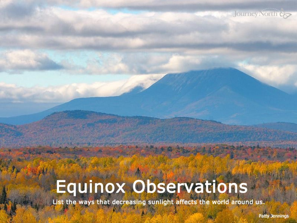 Journal: Equinox Observations