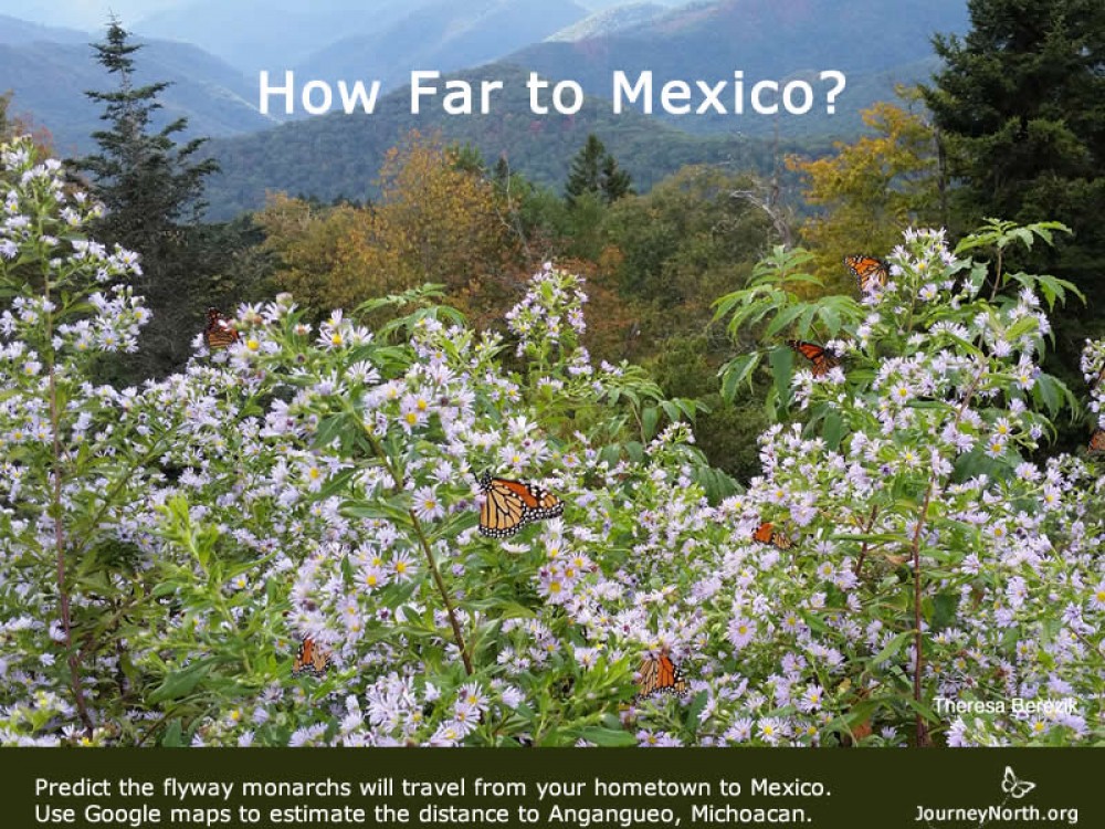 Journal: How Far to Mexico