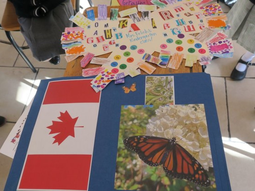 ambassador butterflies being delivered from canada
