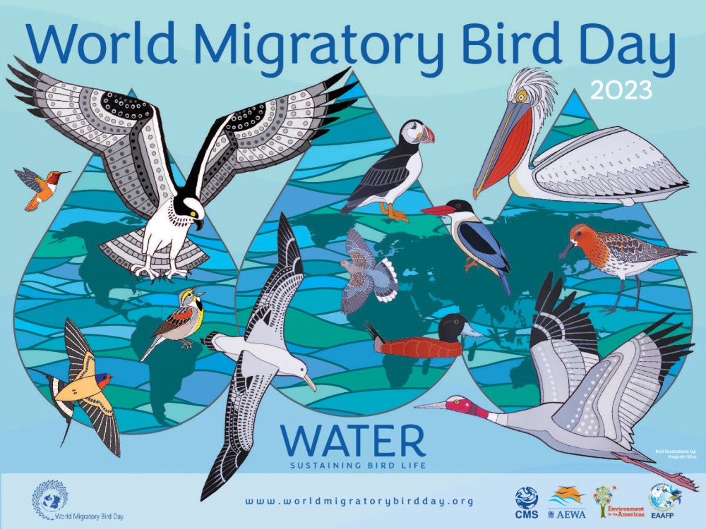 World Migratory Bird Day image
