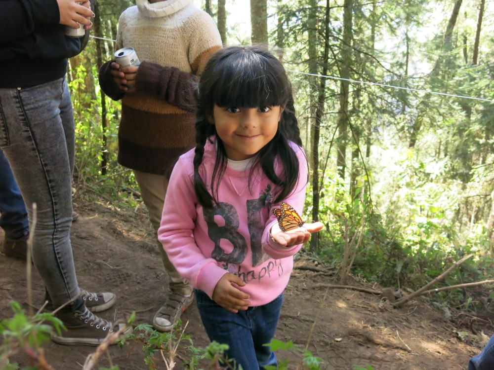 A child holding a monarch butterfly