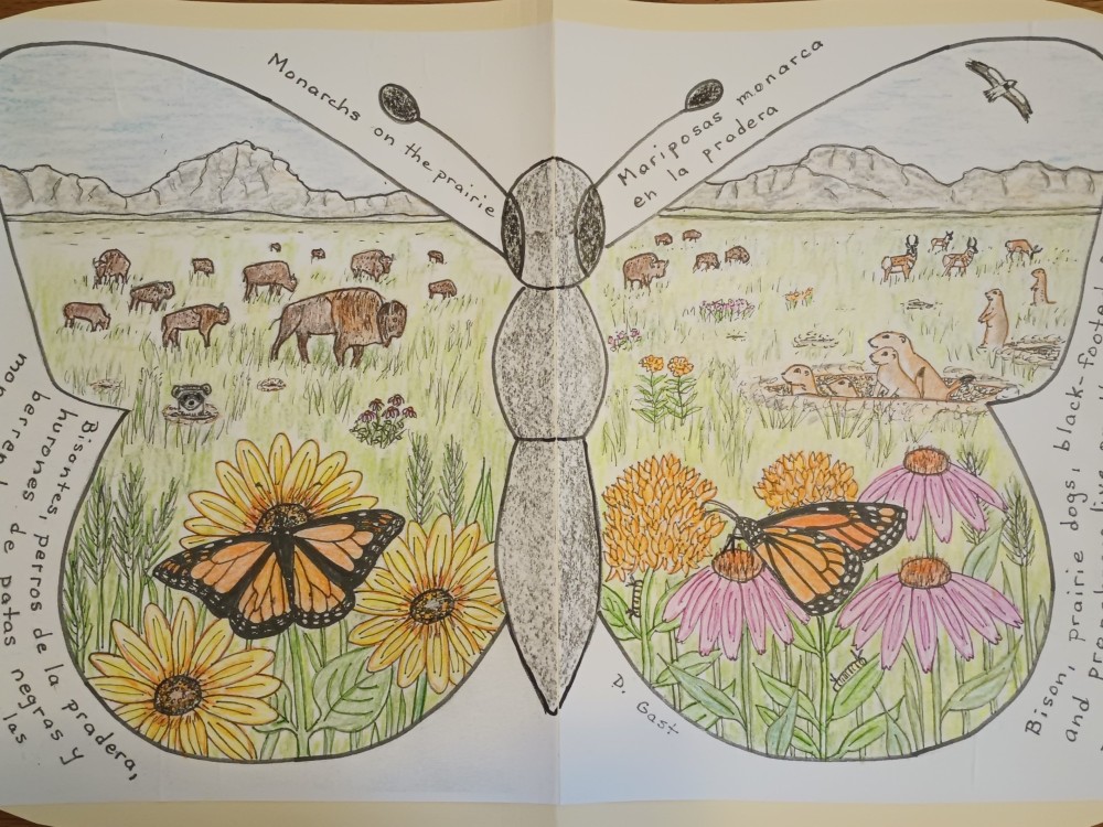 A drawn picture of a prairie ecosystem in a butterfly outline