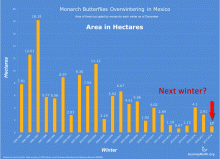 Monarch Butterfly Population Graph