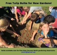 Image of students planting bulbs and message for free bulbs