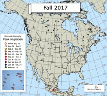 Map of peak monarch butterfly migration for Fall 2017