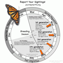 Annual Cycle