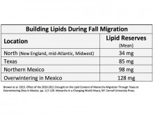 Lipid Graph