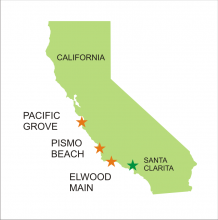 California Monarch Overwintering Groves