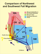 Comparison of Northwest and Southwest Fall Migration