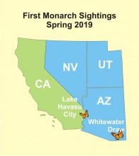 A Few Early Spring Sightings (03/25/2019)