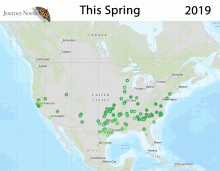 Milkweed Emergence