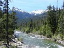 Trinity River, CA