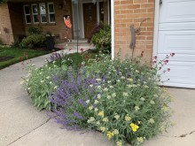  A Flowery Front Stoop