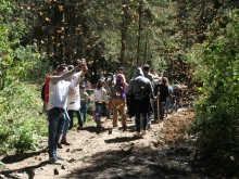 visitors to monarch sanctuary