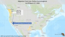 Rufous hummingbird Map