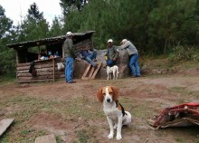 Forest Rangers and friends