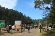 Visitors at Sierra Chincua.