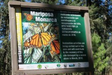 Monarch sign at Sierra Chincua